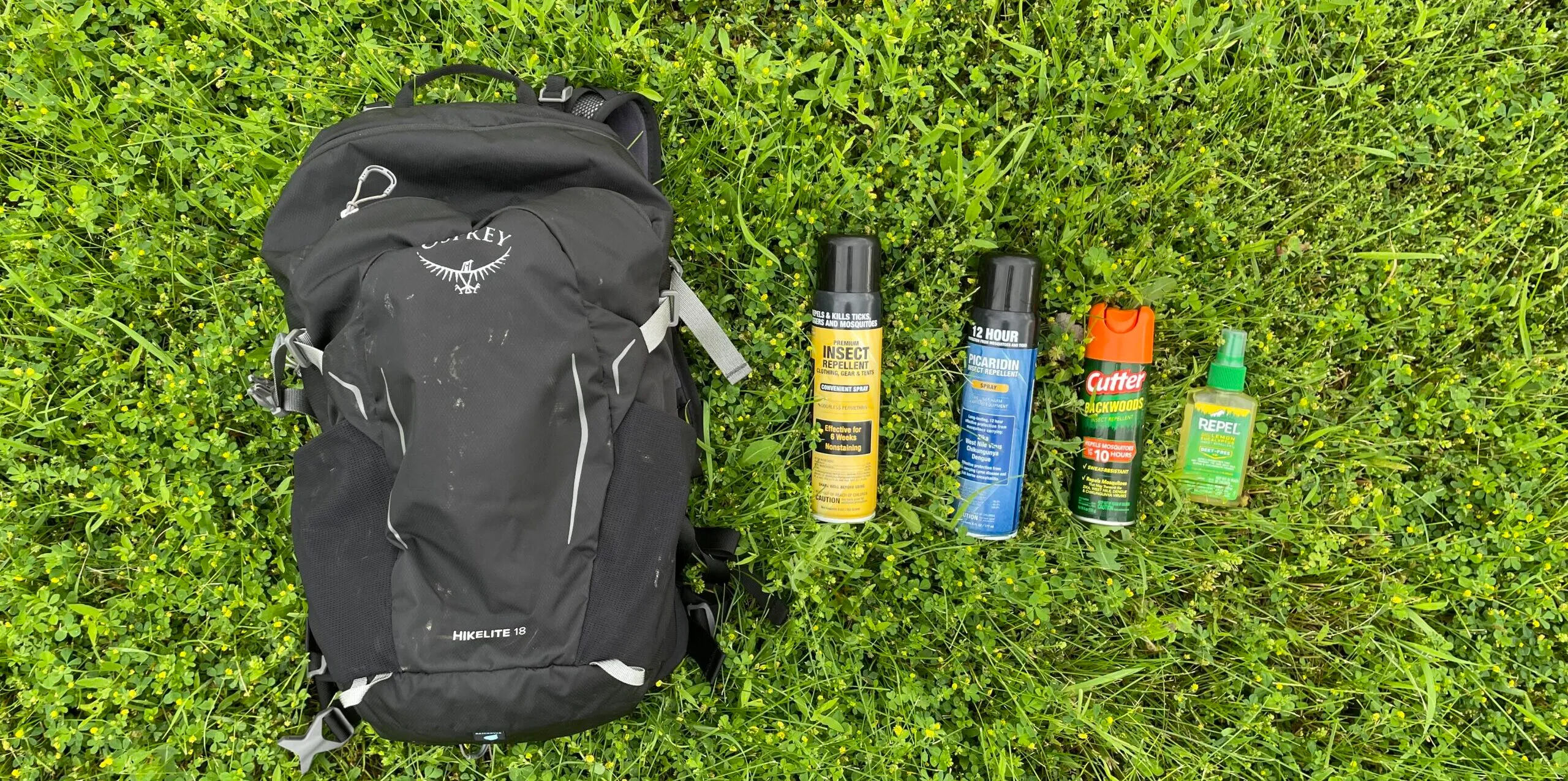 Best Insect Repellent Sprays for Hiking
