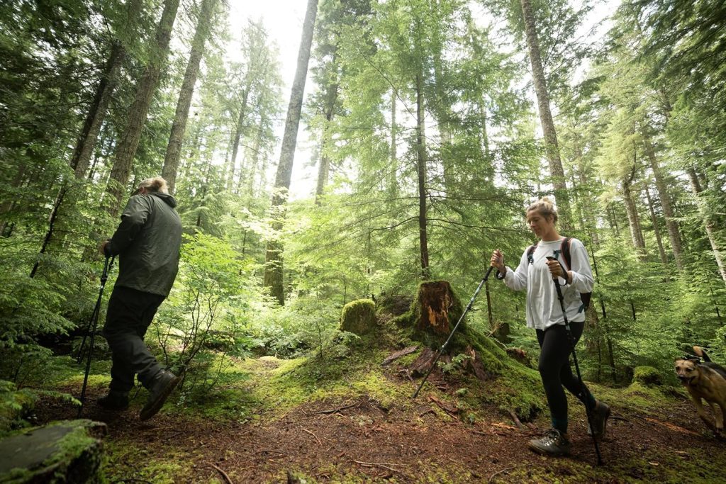 Is Hiking a Hobby? Everything You Need to Know About This Rewarding Pastime 2 Cascade Mountain Tech Lightweight Aircraft Grade Aluminum Trekking Poles