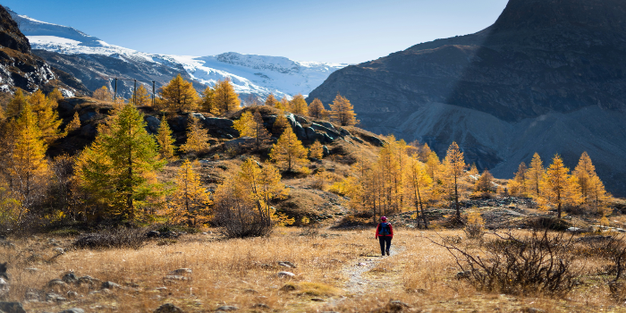 Autumn Hiking: Why Fall Is the Best Season to Hit the Trail 3 Hiker in Autum